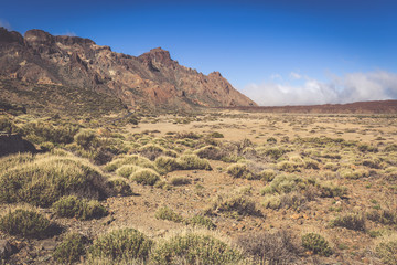 Fototapeta na wymiar Teide National Park Roques de Garcia in Tenerife at Canary Islan