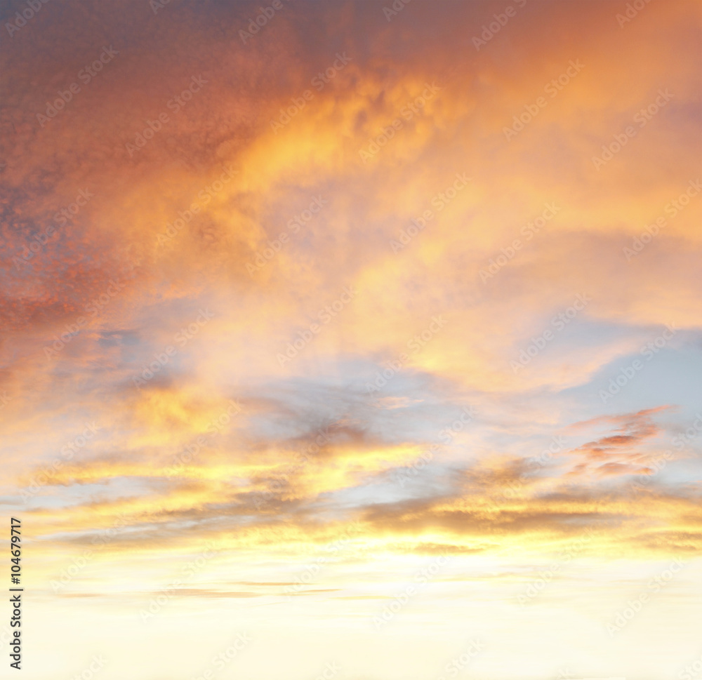 Canvas Prints sunlit warm summer clouds sky