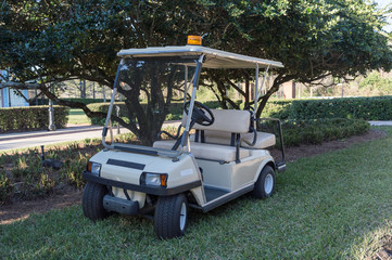 Golf Buggy