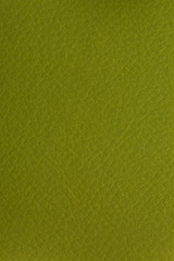 Green leather texture
