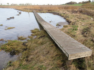 Walk the plank in nature