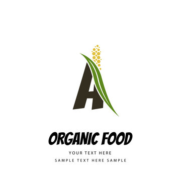 Organic food concept with millet twig