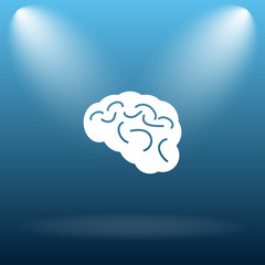 Brain icon