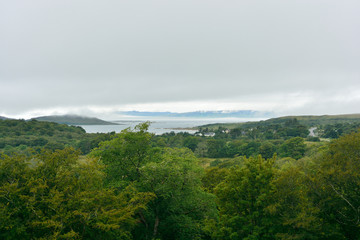 Loch Linnhe am südlichen Ende des Great Glen Woods with a View