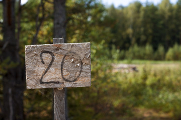 Image of pointer in woods. Number 20 on plate