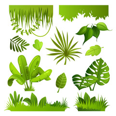 jungle plants. set. vector illustration