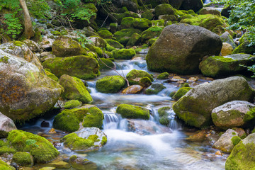 Fototapeta na wymiar Creek in the Ligurian Alps