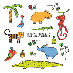 Tropical animals sketch