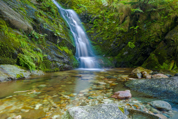 Little Waterfall in Valle Pesio