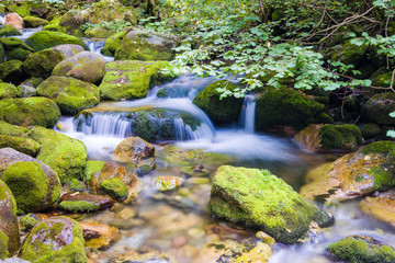 Fototapeta premium Creek in the Ligurian Alps