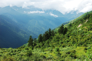 landscape of mountain forest and valley