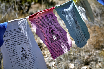 Buddhist prayer flags hanging from tree to tree blowing in the wind