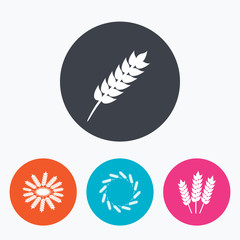 Agricultural icons. Gluten free symbols.