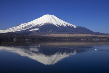 平野地区より富士山と山中湖