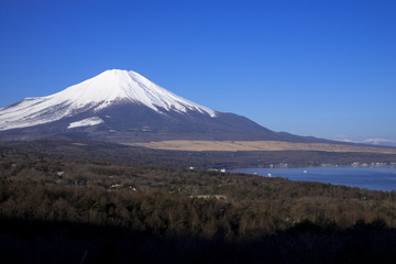 パノラマ台より山中湖と富士山