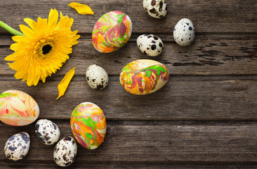 Easter background with eggs and yellow flower on wooden board, t