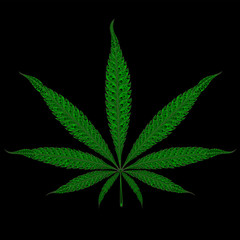 Vector vintage marijuana leaf on a black background