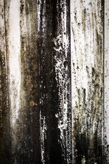 Bark tree texture with flower