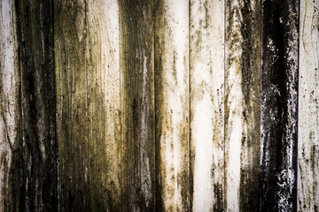 Bark tree texture with flower