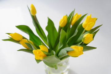 Yellow, fresh tulips in a vase on a wooden table.