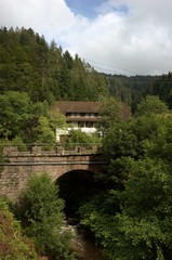 Fototapeta na wymiar bridge in forest Germany