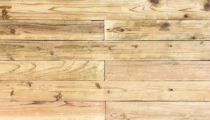 Fototapeta premium wood pattern Texture of wood Maple background use for The design of your 