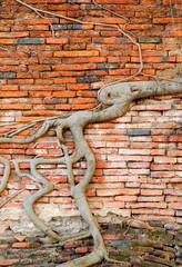 The old vintage brick wall background.