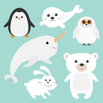 Arctic polar animal set. White bear, owl, penguin, Seal pup baby harp, hare, rabbit, narwhal, unicorn-fish. Kids education cards. Blue background. Isolated. Flat design.
