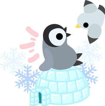 A pretty penguin baby and an igloo and a gull