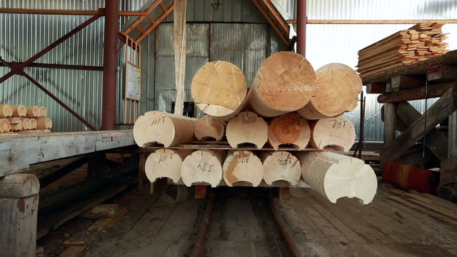 View on platform with logs moves for unload