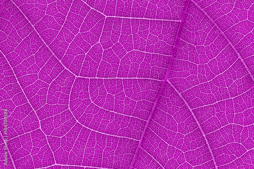 Aufkleber Design on leaf texture for pattern and background