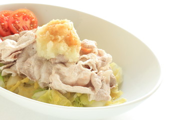 Japanese food, Reishabu pork salad