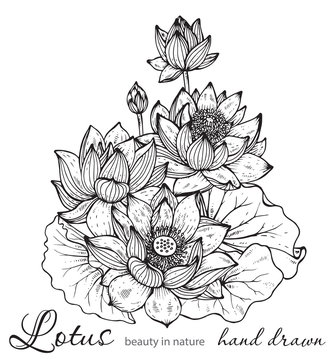 Beautiful monochrome vector floral bouquet of lotus flowers