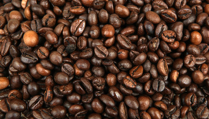 roasted coffee beans