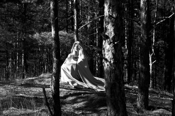 Fototapeta na wymiar Medieval woman in forest 