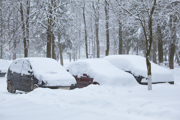 Snowbound cars