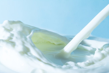 Fototapeta na wymiar splash of milk, pouring jet stream of milk on a light blue background 