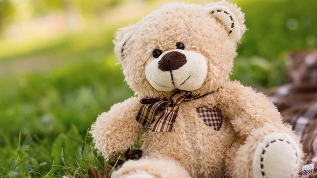 Плюшевый мишка Вайлдберриз