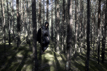 medieval man in forest - 104706564