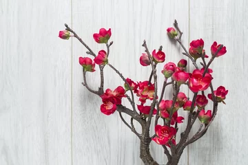 Cercles muraux Fleur de cerisier Red cherry blossoms