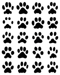 Fototapeta na wymiar Black print of cats paws on white background, vector