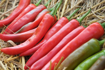 chilly peppers for sale at the market