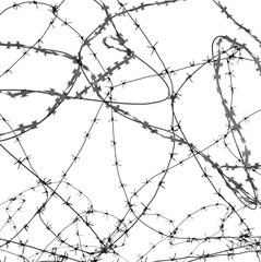 Barbed wire on white background