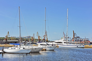 Obraz premium Motor yacht in jetty