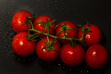 Twig tomatoes on a black background