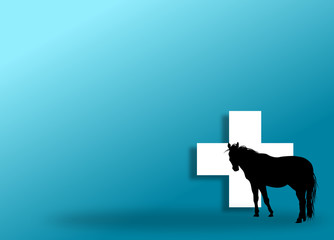 Veterinary horse care © sidliks