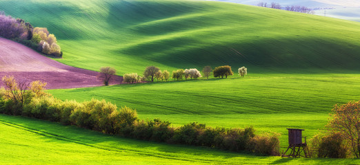 Landscape with Agricultural Fields