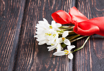 snowdrops bunch on wood
