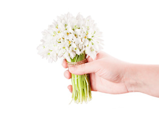 snowdrop bouquet hold hand