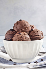 Chocolate ice cream and chocolate chips.